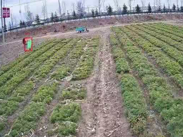 樹(shù)苗基地安防監(jiān)控系統(tǒng)怎么樣才安全？來(lái)看這里！